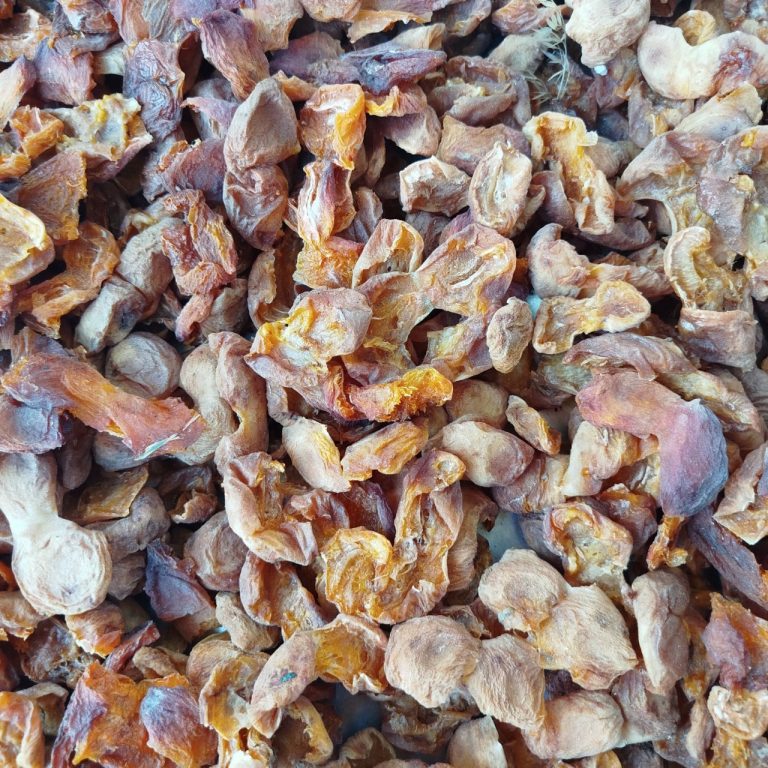 خرید عمده برگه زردآلو آفتابی